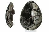 Septarian Dragon Egg Geode - Removable Section #203817-3